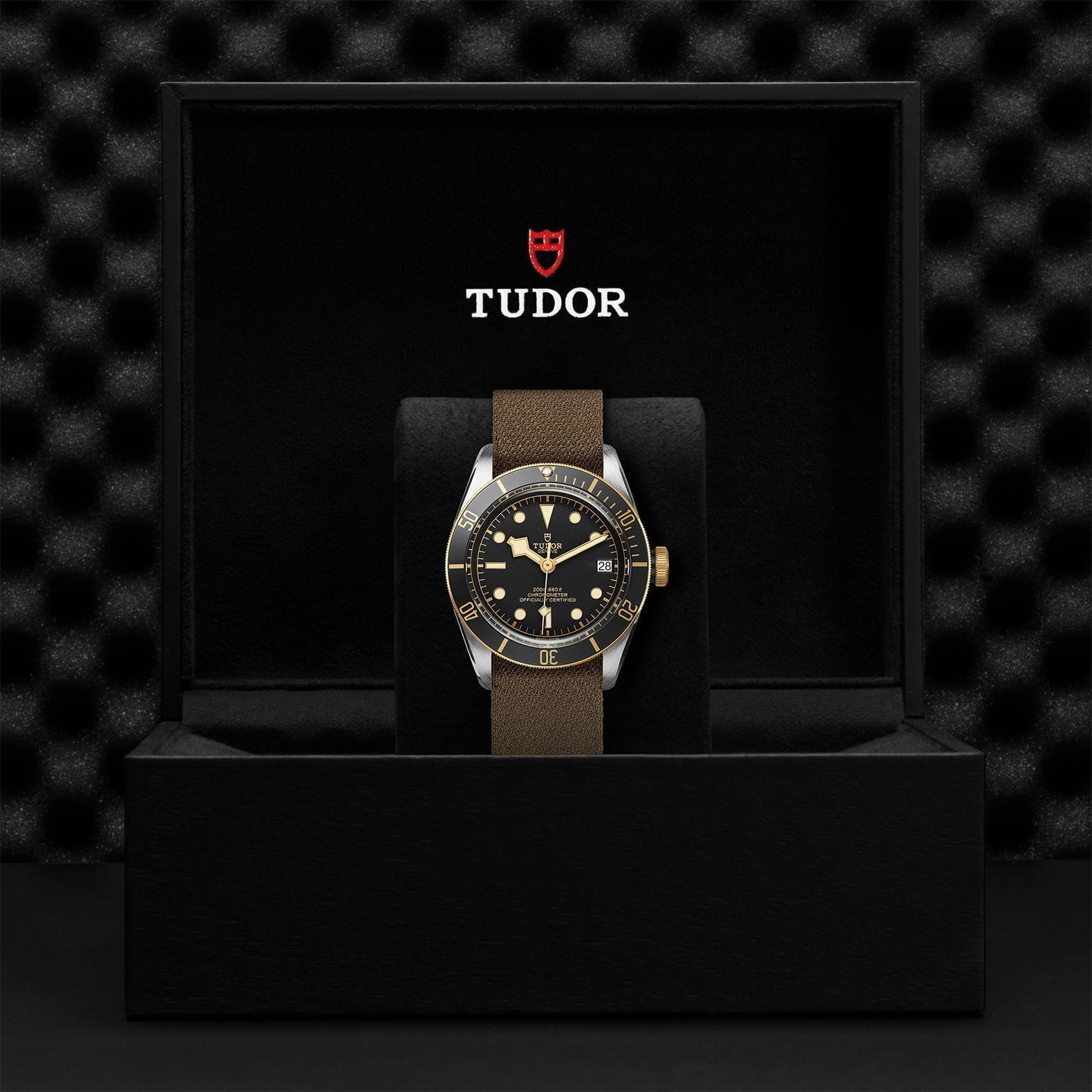 M79733N 0005 Tudor Watch Carousel 4 4 10 2023