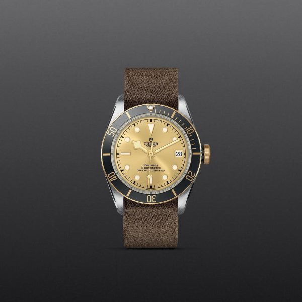 TUDOR Black Bay S&G M79733N-0006