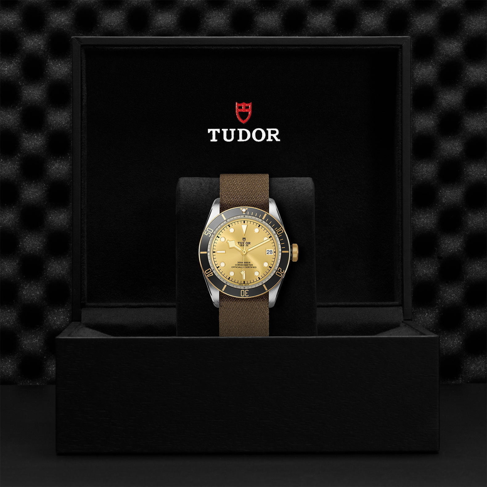 M79733N 0006 Tudor Watch Carousel 4 4 10 2023