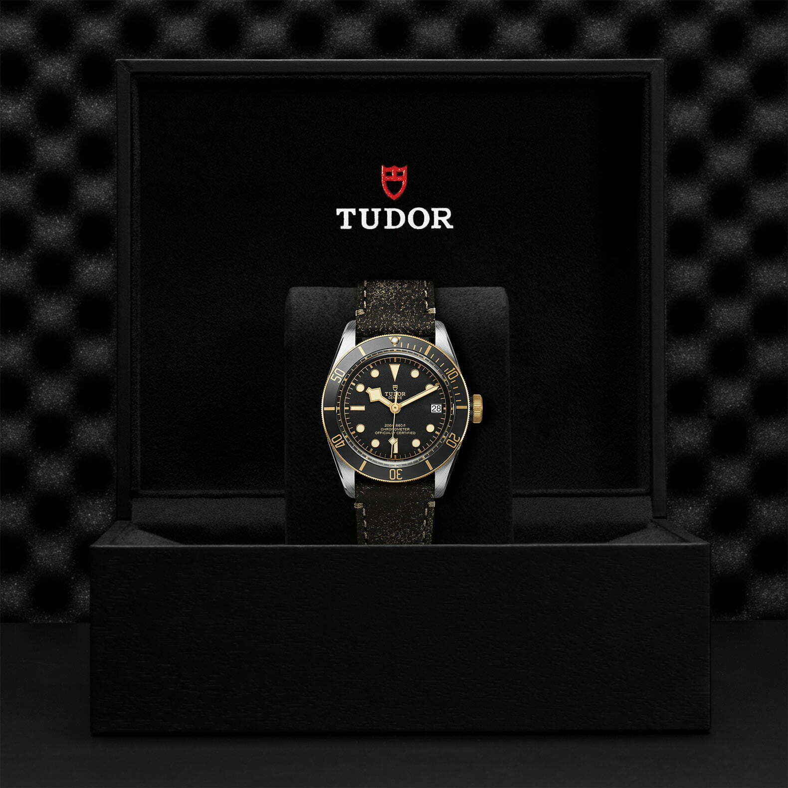 M79733N 0007 Tudor Watch Carousel 4 4 10 2023