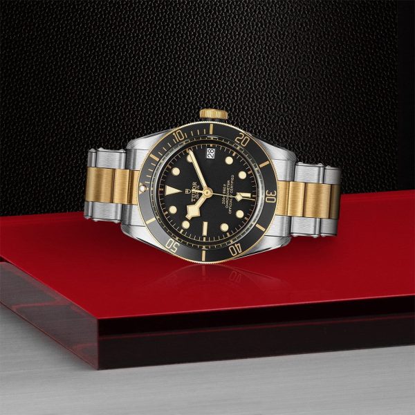 TUDOR Black Bay S&G M79733N-0008 - Image 4