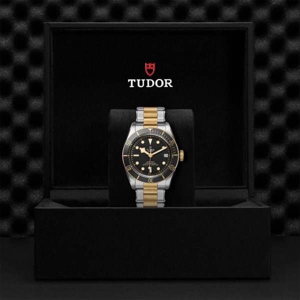 TUDOR Black Bay S&G M79733N-0008 - Image 5