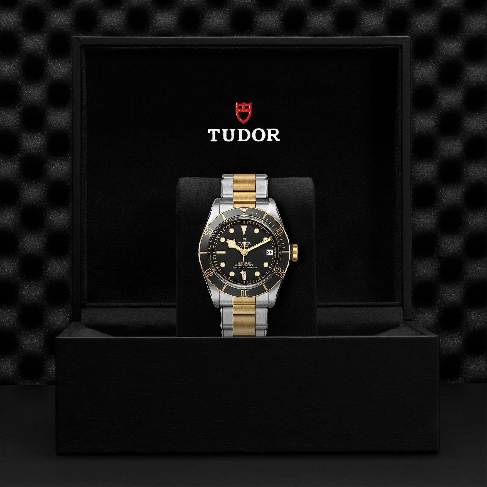 M79733N 0008 Tudor Watch Carousel 4 4 10 2023