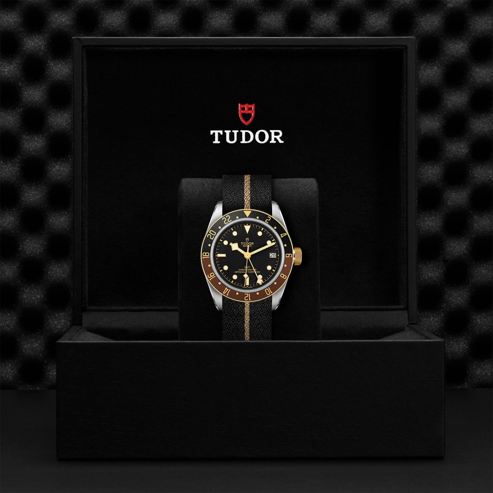 M79833Mn 0004 Tudor Watch Carousel 4 4 10 2023