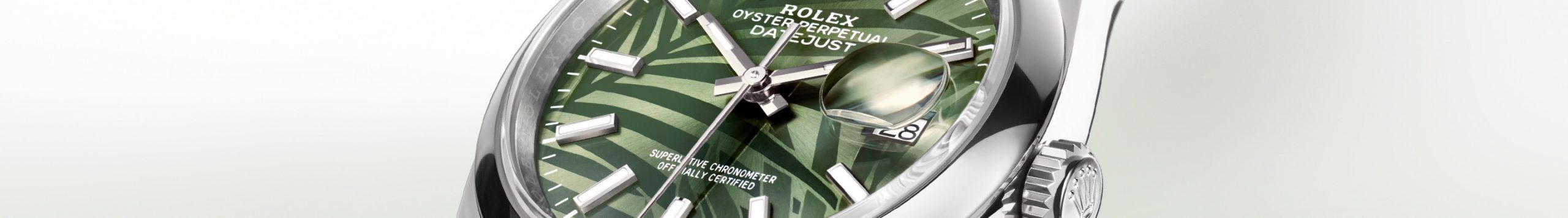 Rolex Datejust collection page banner