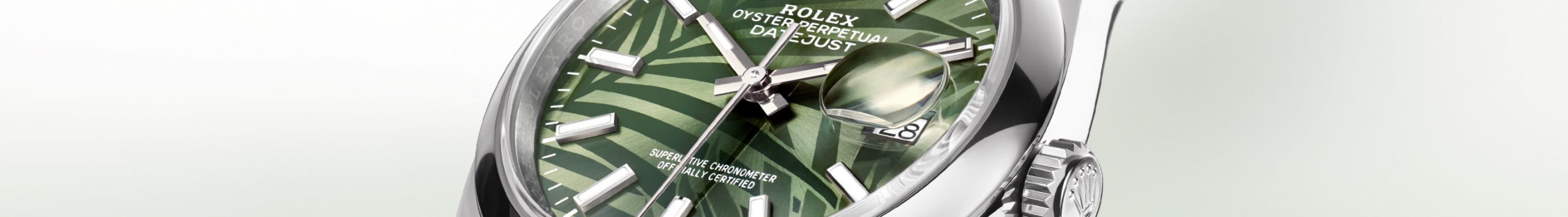 Rolex Datejust collection page banner Rolex Datejust collection page banner
