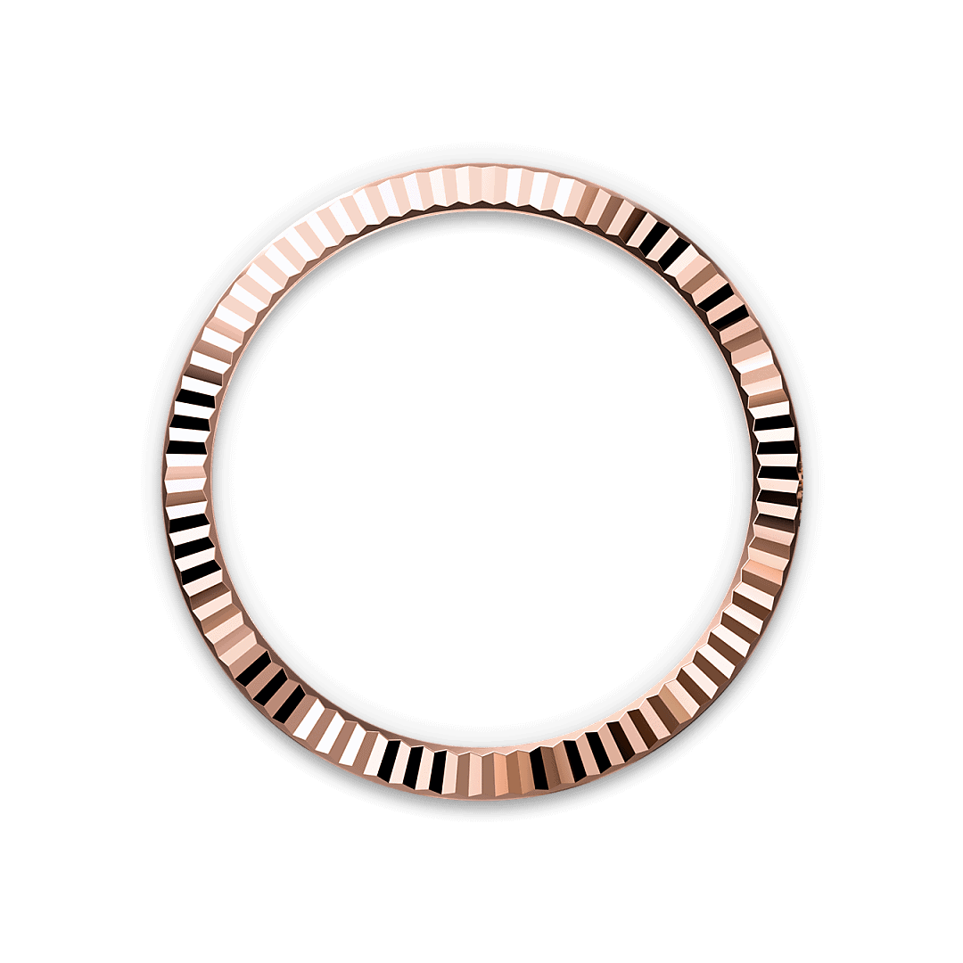Bezel Berjejalur Rolex - Swee Cheong Watch