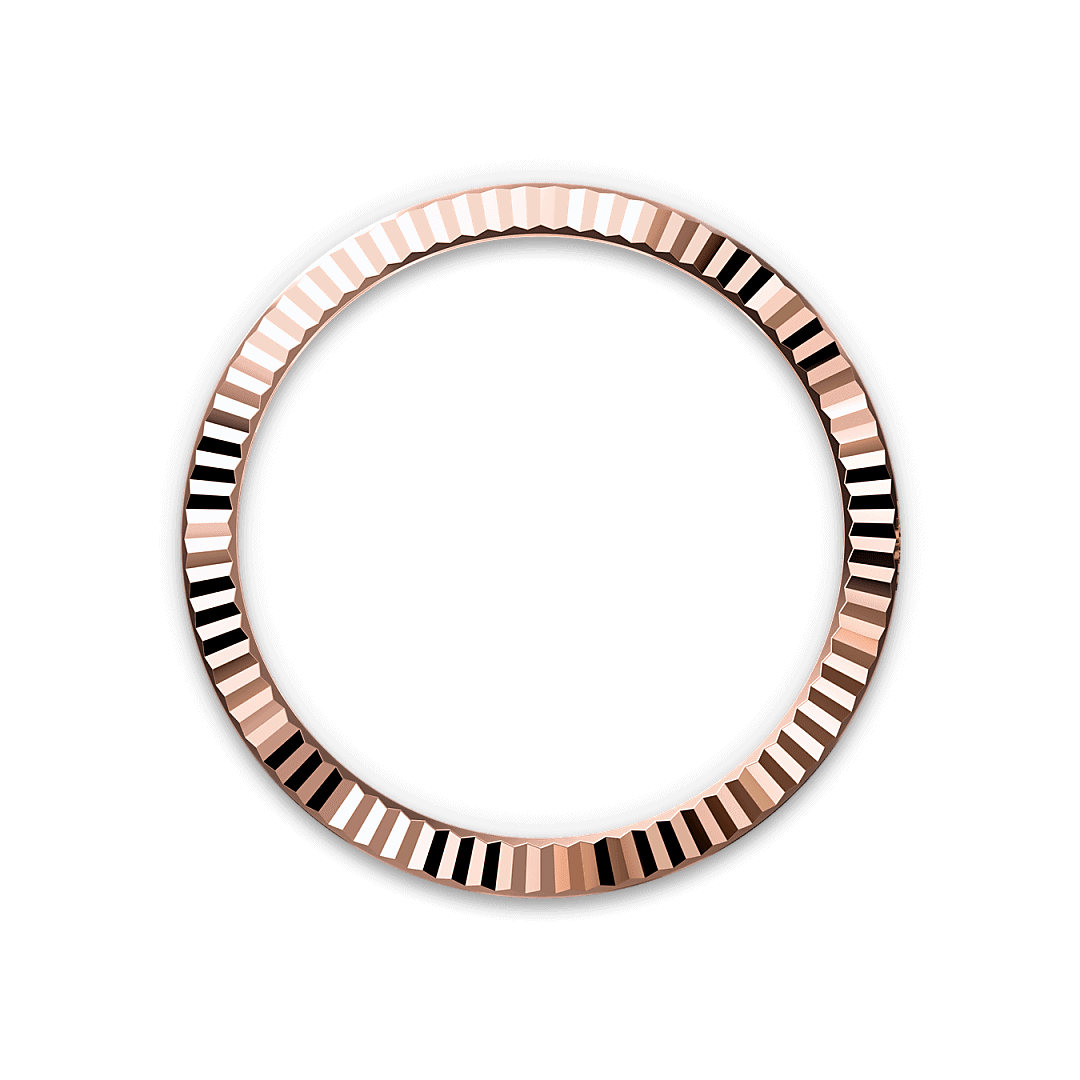 Bezel Berjejalur Rolex - Swee Cheong Watch