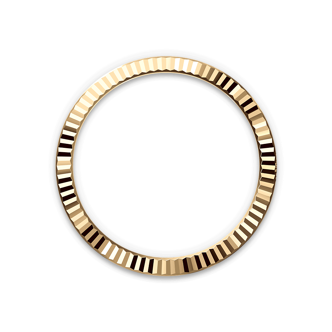 Bezel Berjejalur Rolex - Swee Cheong Watch