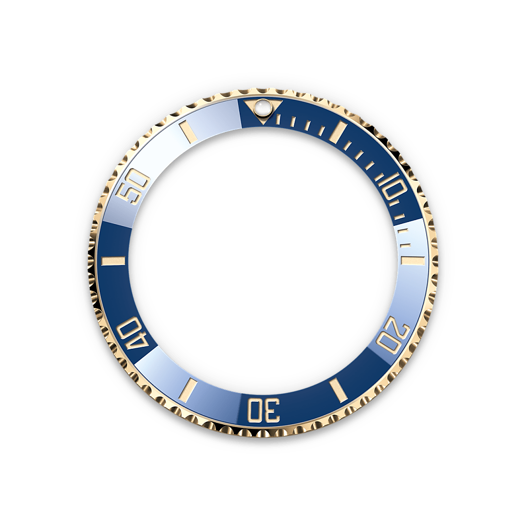 Rolex Unidirectional Rotatable Bezel - Hung Cheong Jewellery & Watch