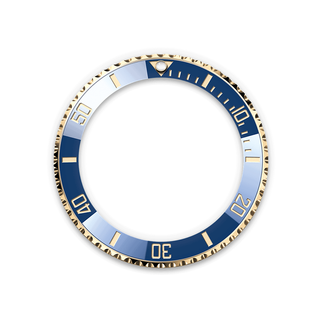 Rolex Unidirectional Rotatable Bezel - Swee Cheong Watch