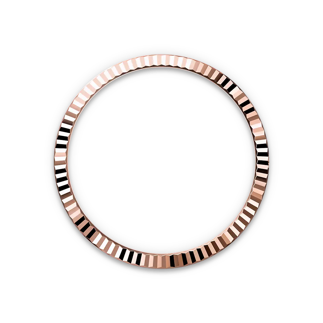 Rolex Bezel berjejalur - Jam Tangan Swee Cheong