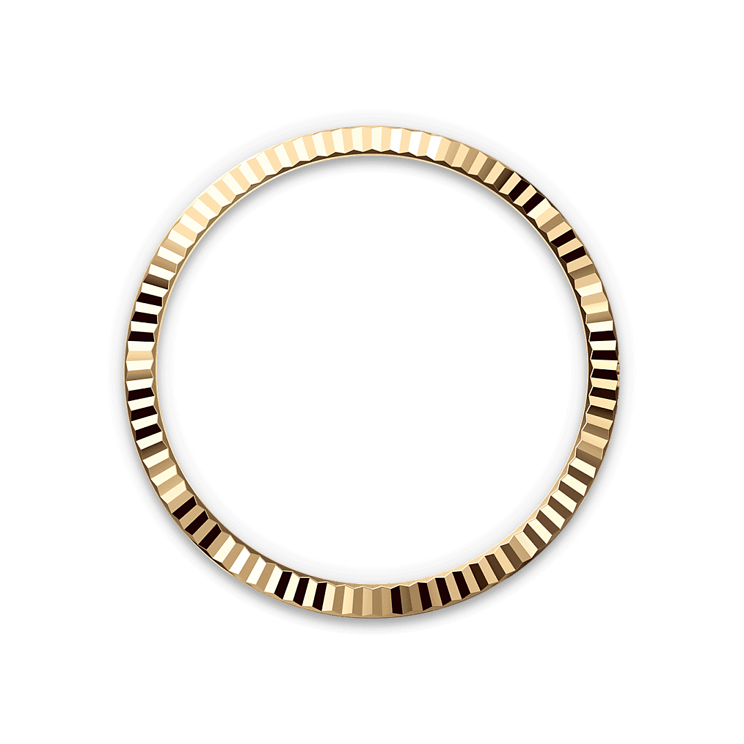 Bezel Berjejalur Rolex - Swee Cheong Watch