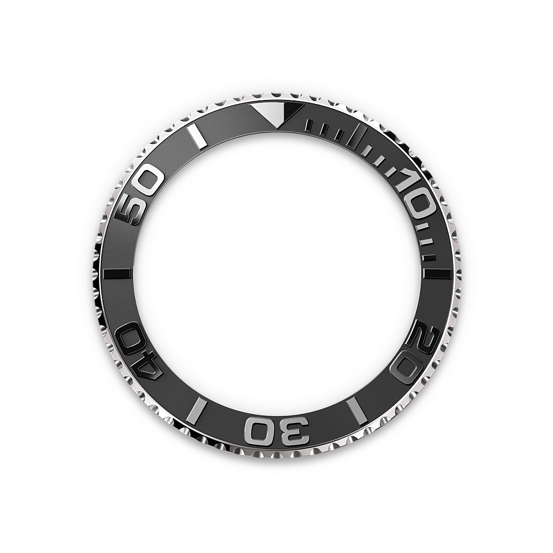 Rolex Bidirectional Rotatable Bezel - Hung Cheong Jewellery & Watch
