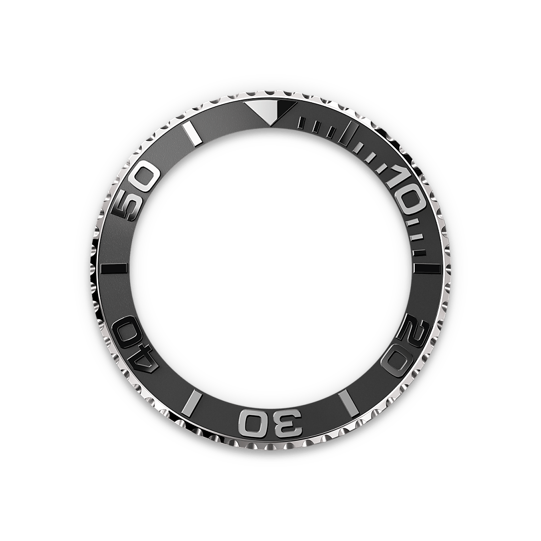 Rolex Bidirectional Rotatable Bezel - Swee Cheong Watch