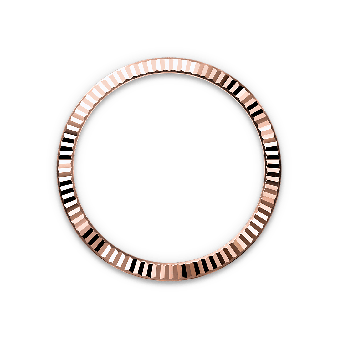 Bezel Berjejalur Rolex - Swee Cheong Watch