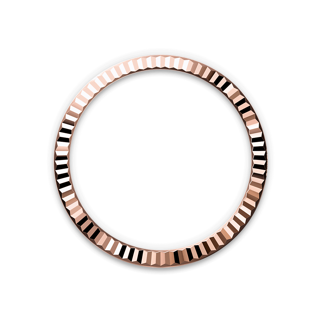 Bezel Berjejalur Rolex - Swee Cheong Watch