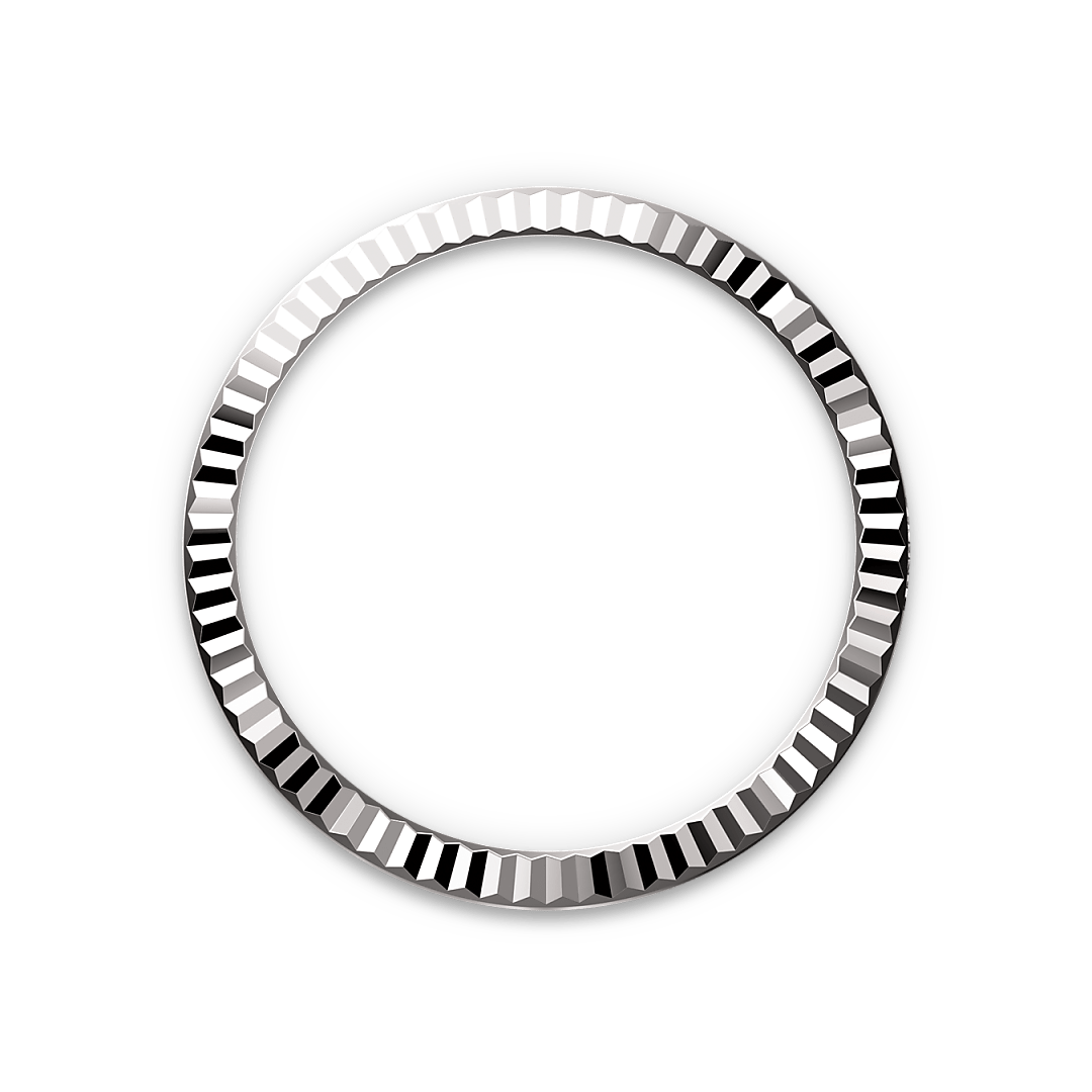 Bezel Berjejalur Rolex - Swee Cheong Watch