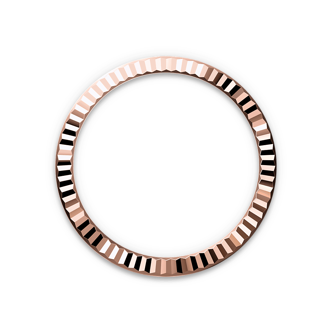 Bezel Berjejalur Rolex - Swee Cheong Watch