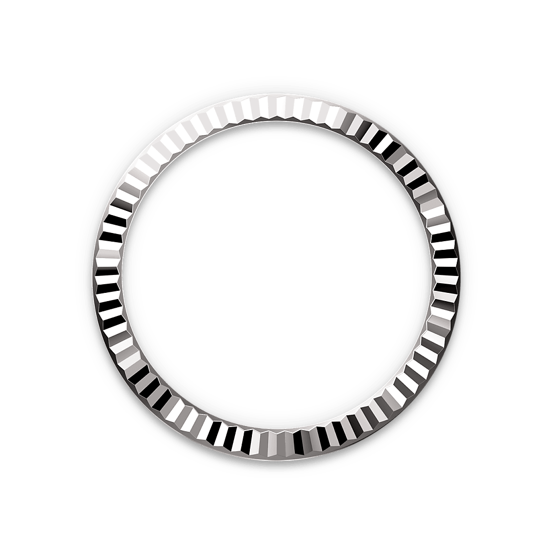 Bezel Berjejalur Rolex - Swee Cheong Watch