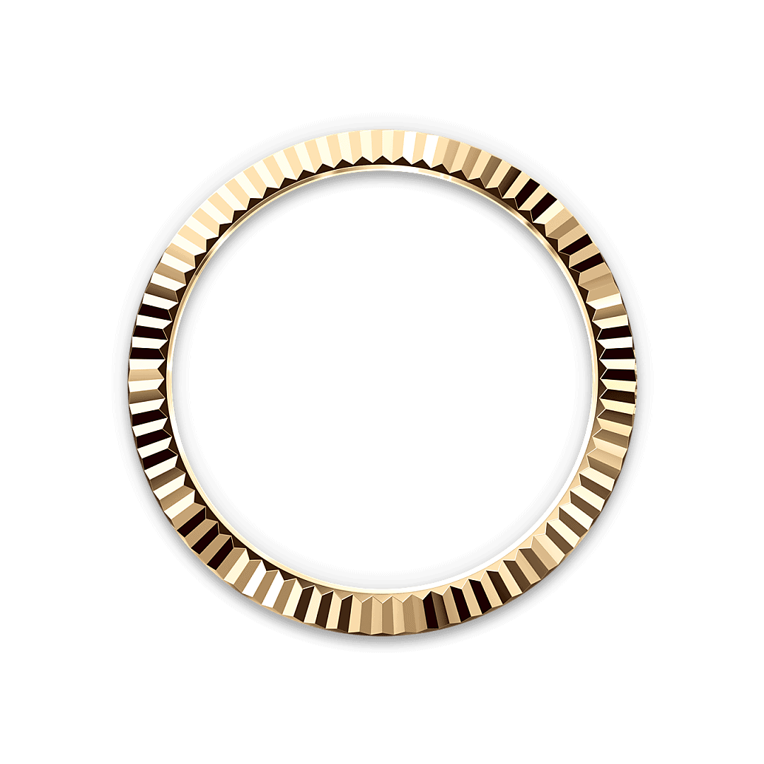 Bezel Berjejalur Rolex - Swee Cheong Watch