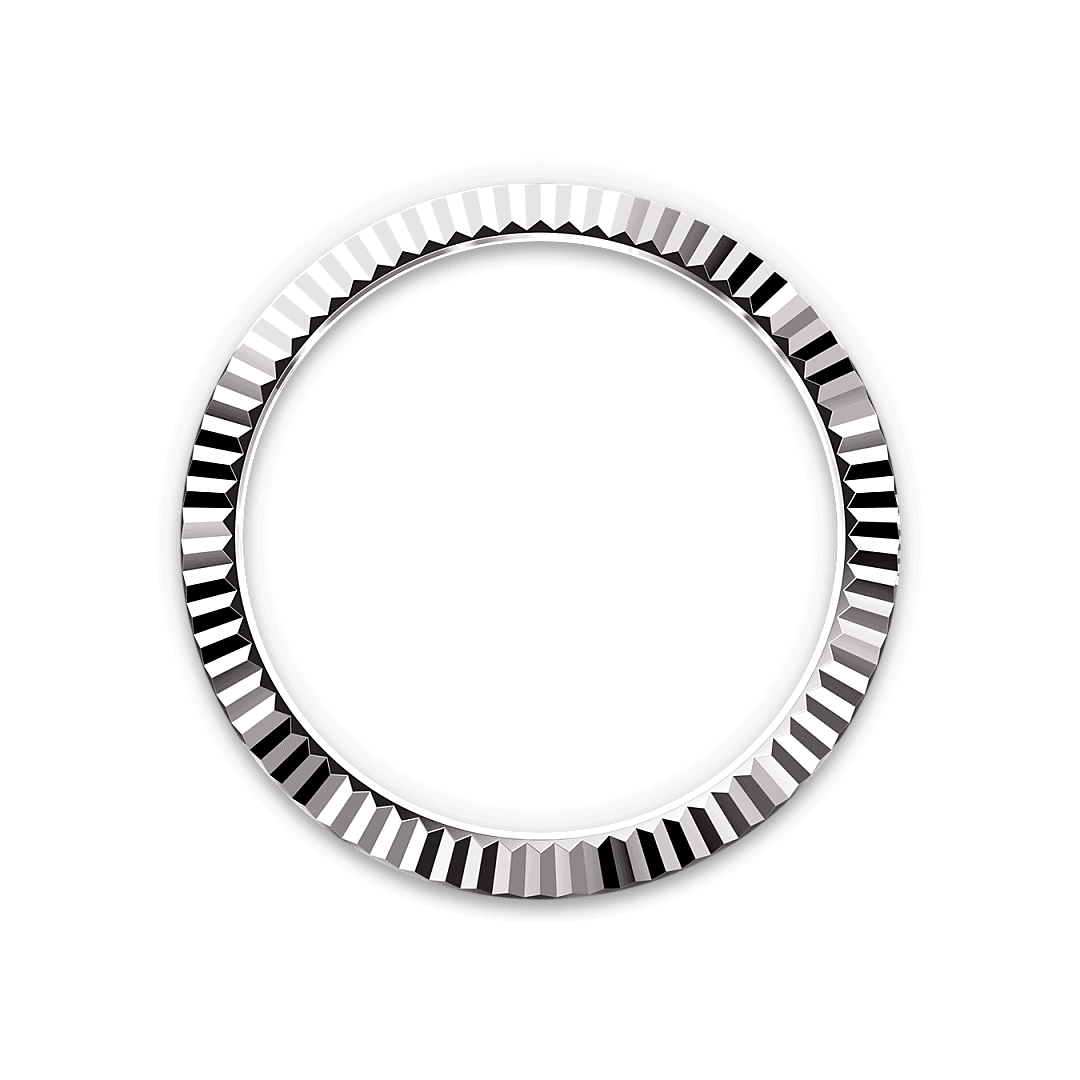 Bezel Berjejalur Rolex - Swee Cheong Watch