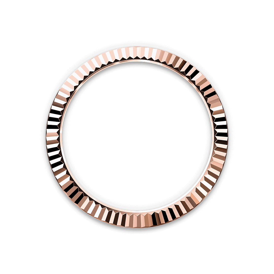 Bezel Berjejalur Rolex - Swee Cheong Watch