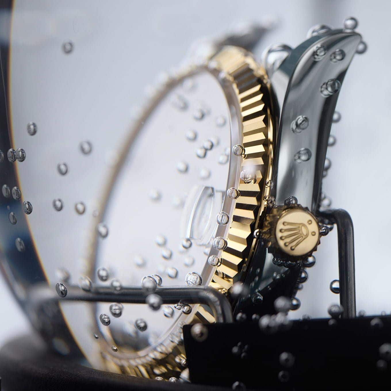 Rolex-Servicing-Procedure-Assembly-Of-The-Case_Portrait