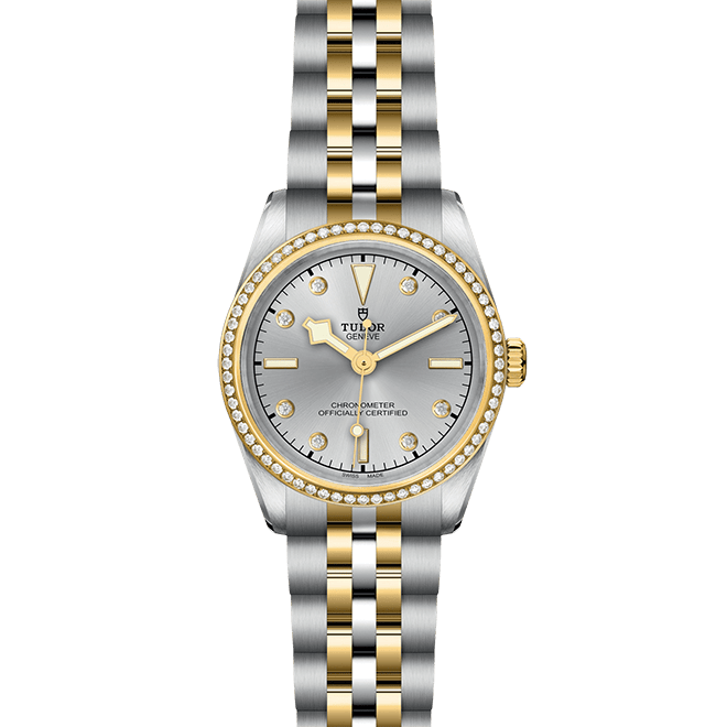 TUDOR Black Bay 31 S&G M79613-0006 - Image 2